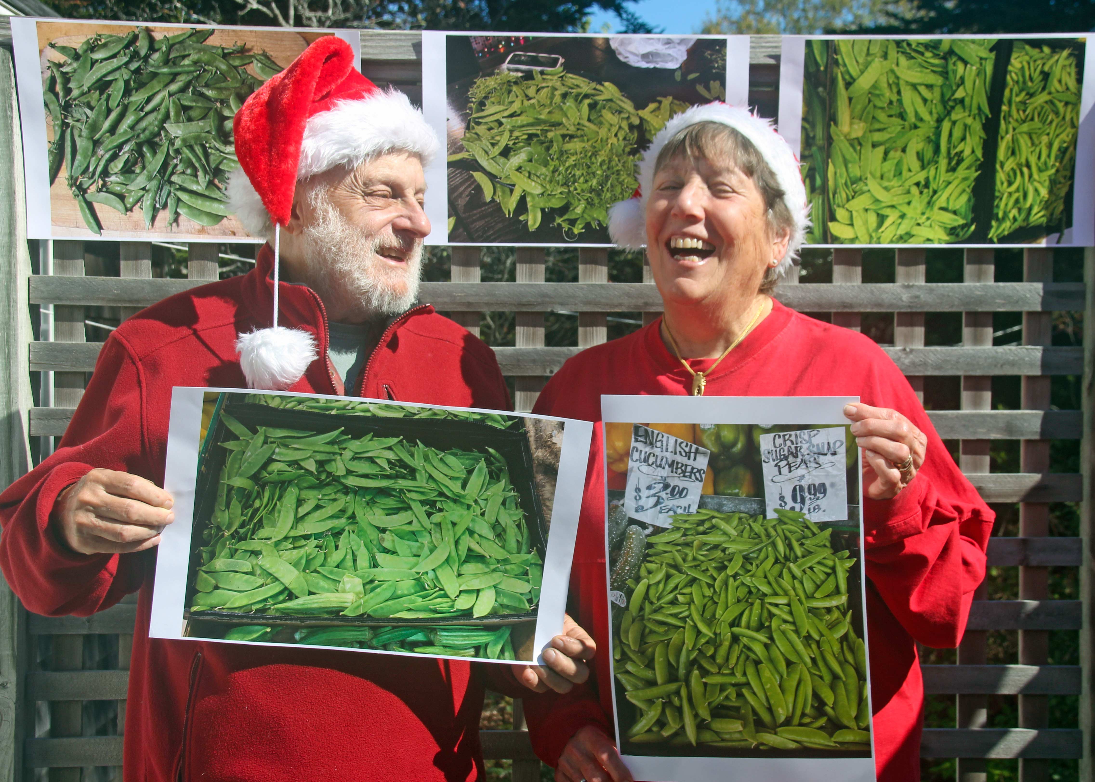 Prints Of Peas